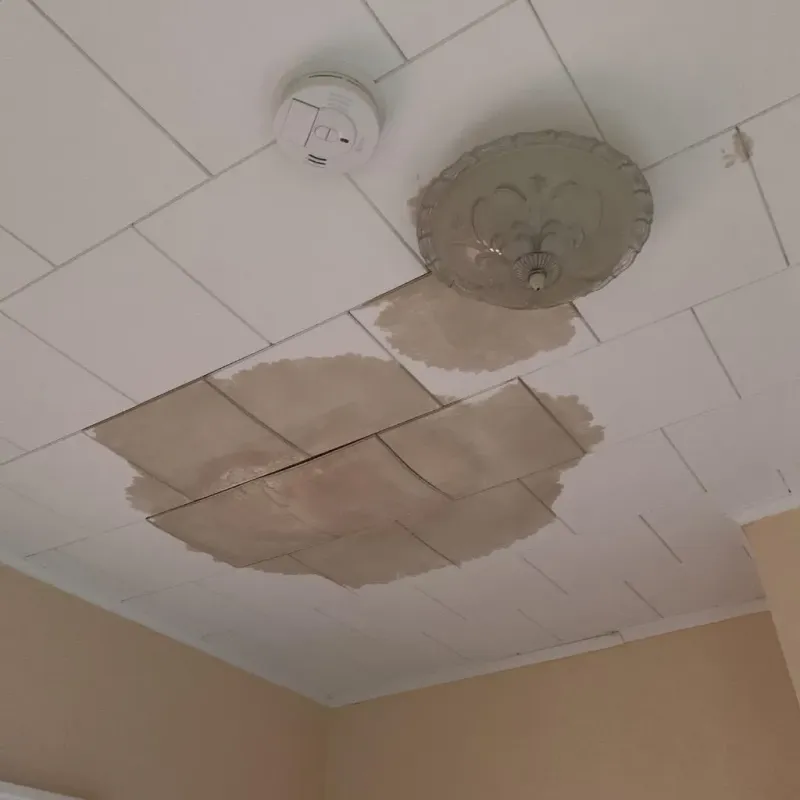 Ceiling Water Damage Repair in Gorham, NH