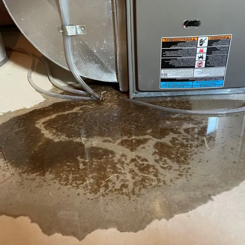Pipe Burst and Leak Restoration in Gorham, NH